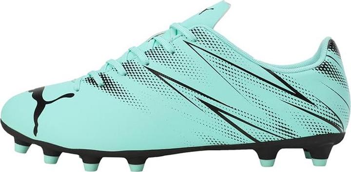 Actual product image Puma Mens Attacanto FG/AG Football Boots (42)