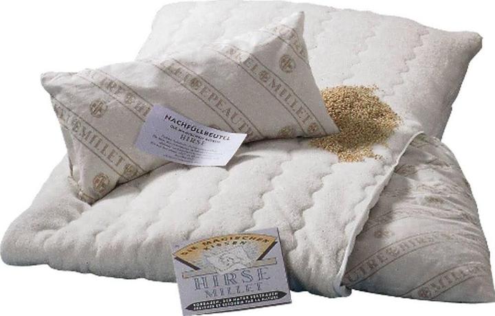 Image du produit Billerbeck coussin en millet (50 x 70 cm)
