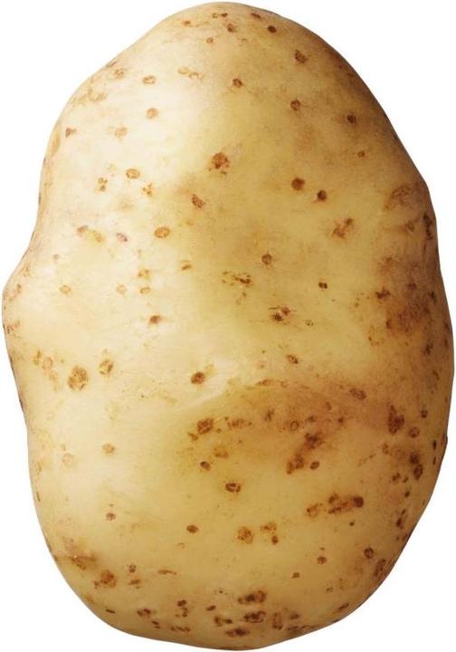 Produktbild Samen Mauser Bintje (Gemüsesamen)