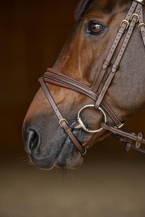 Immagine prodotto HFI Master Padded