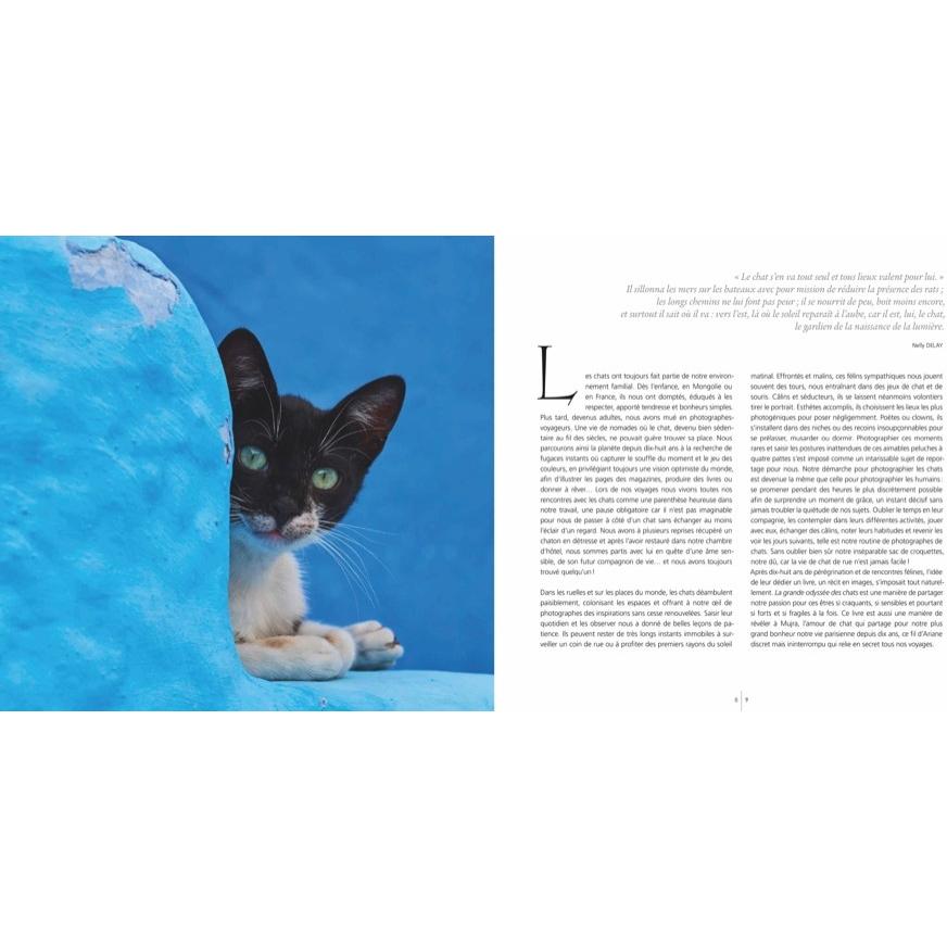 Thumbnail - Katzen, Ratgeber von Bruno Morandi