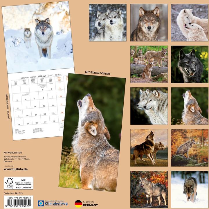 Produktbild Wölfe/Wolves 2026