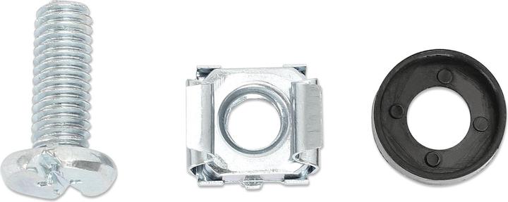 Actual product image Intellinet Screw set