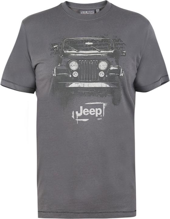 Actual product image DUKE Somerton D555 Tshirt (4XL)