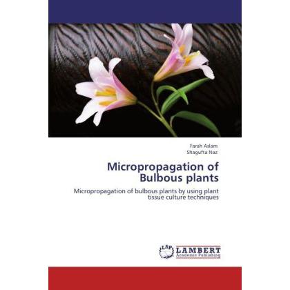 Micropropagation of Bulbous plants, Fachbücher von Shagufta Naz, Farah Aslam