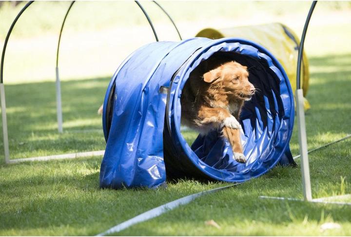 Petcenter Tunnel Agility-Hooper FIRST bleu-noir, 1m, Ø60cm (Taille unique, Agility)