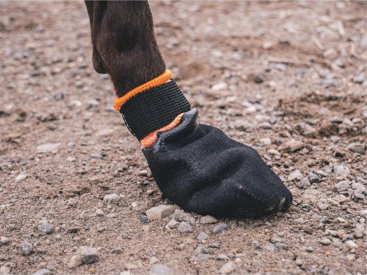 Image du produit Non-Stop Dogwear Protector (M, Chaussures pour chien)