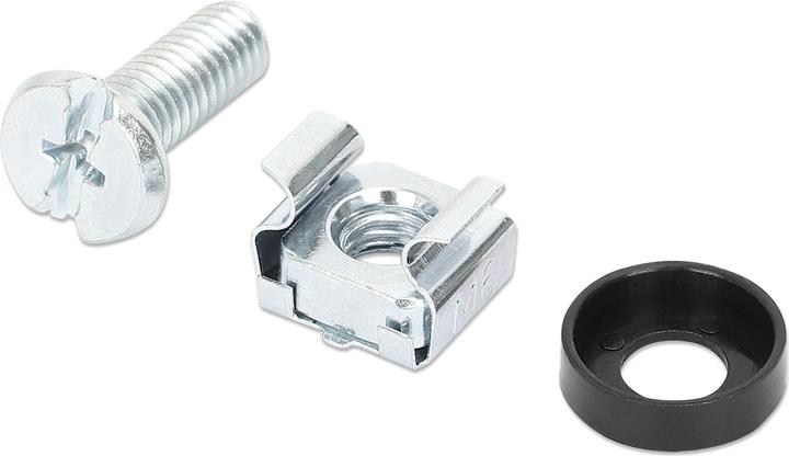 Actual product image Intellinet Screw set