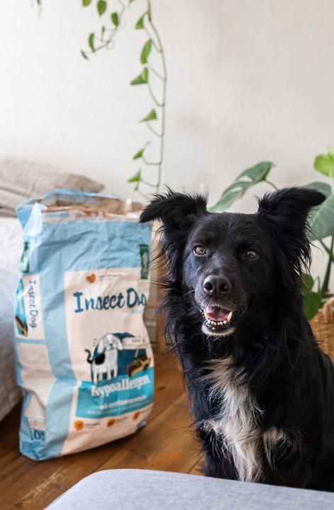 Immagine prodotto Green Petfood Cibo secco InsectDog ipoallergenico (Adulto, 1 pz., 921 g)