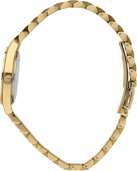 Produktbild Chiara Ferragni WATCHES Mod. R1953100515 (28 mm)