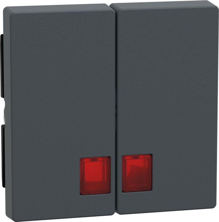 Produktbild Merten Doppelwippe mit rotem Symbolfenster, MEG3456-0414