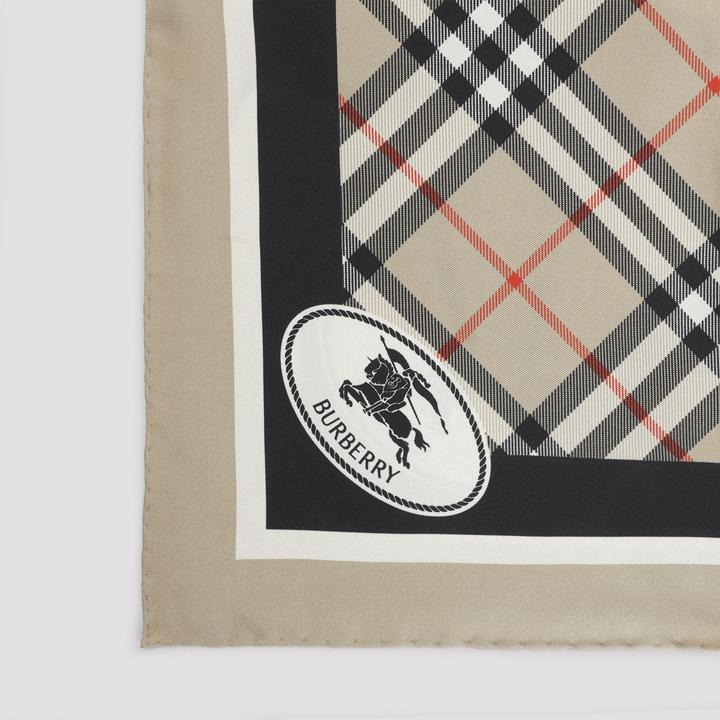 Actual product image Burberry 8113048