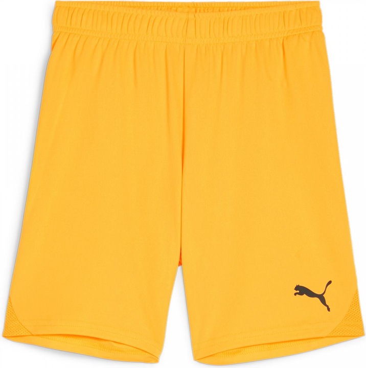 Produktbild Puma teamGOAL Shorts Jr (140)