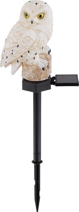 Produktbild Globo Solarleuchte schwarz 1xLED (IP44)