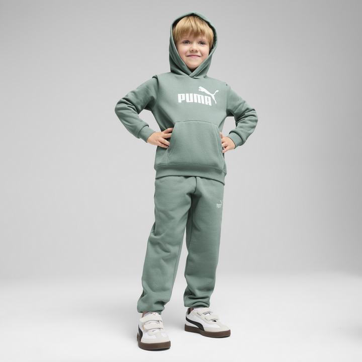 Image du produit Puma Sweat à capuche ESS No. 1 Logo FL PS (116)