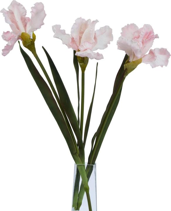Produktbild Hill Interiors Kunstblume (83 cm)
