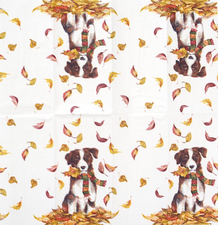 Produktbild IHR Taschentücher DOG HAVING FUN