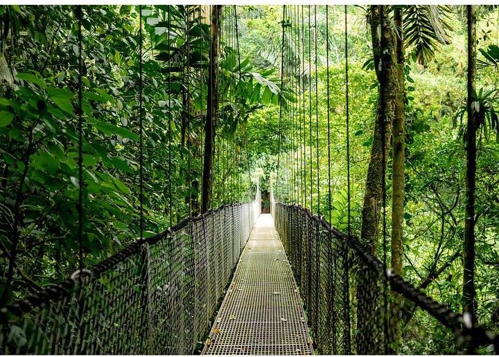 Immagine prodotto HP EliteBook 6 G1a 14 inch Notebook Next Gen AI PC (14", 512 GB, 16 GB, US, AMD Ryzen AI 5 340)