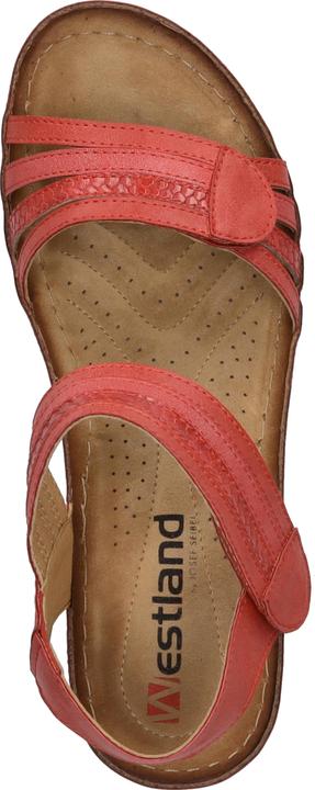 Actual product image Westland 36603-82 (40)