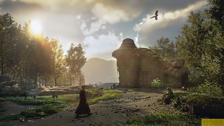 Produktbild WB Hogwarts Legacy (PS4, DE)