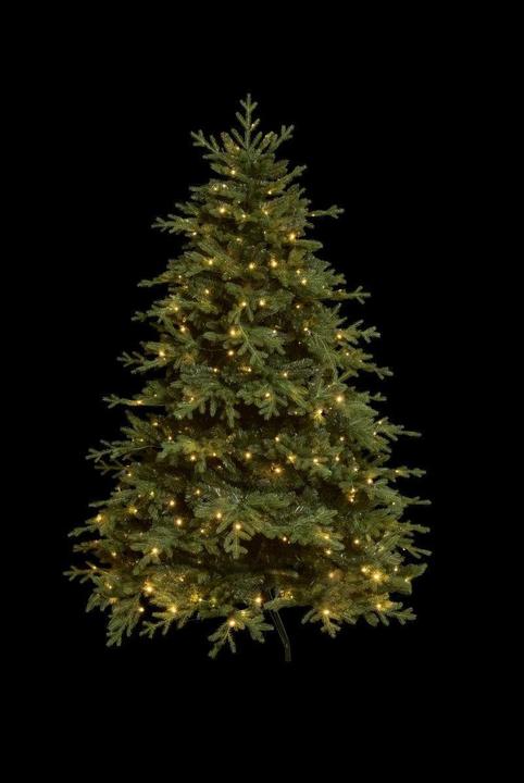 Image du produit STT Arbre (150 cm)