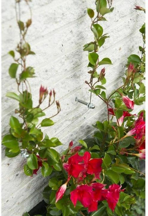 Immagine prodotto Nature Wire trellis kit (1000 cm)