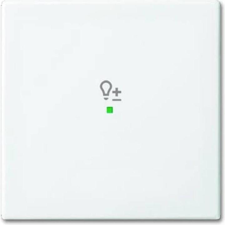 Actual product image Busch-Jaeger Rocker