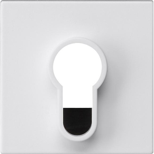 Gira, Programma di commutazione degli accessori, Interruttore a chiave/pulsante a chiave senza stampa 866427