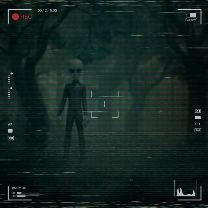 Produktbild Iron Studios I want to Believe Art Scale Statue 1/10 Alien Grey 21 cm