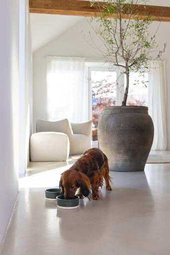 Productafbeelding Designed by Lotte Joa