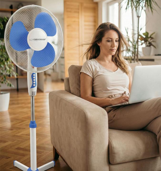 Image du produit Esperanza EHF001WB