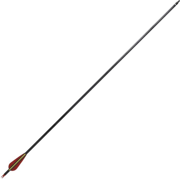 Actual product image vidaXL Pfeil