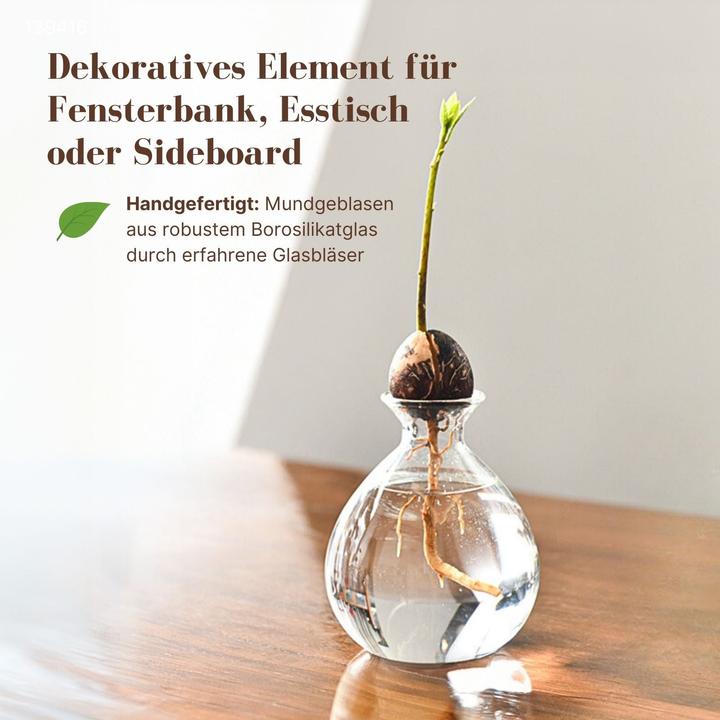 Image du produit Hermex Verre d'avocatier (10 cm)