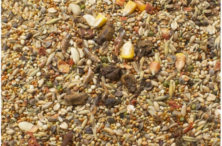 Produktbild JR Farm Hauptfutter Basic Hamster-Schmaus, 600 g (1 Stk., 0.60 kg)
