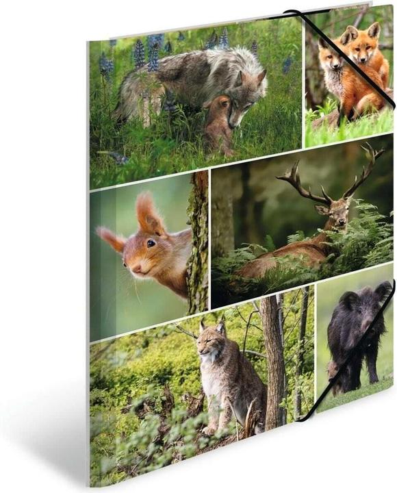 Produktbild HERMA Sammelmappe A4 Motiv (A4, 1x)