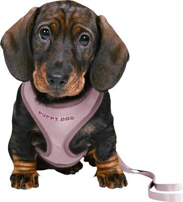 Produktbild Trixie Junior (Hund, Hundesport)