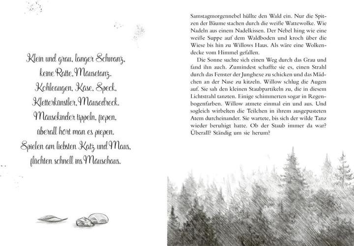 Actual product image Planet Ein Mädchen namens Willow 4: Nebeltanz (German, Sabine Bohlmann, 2023)