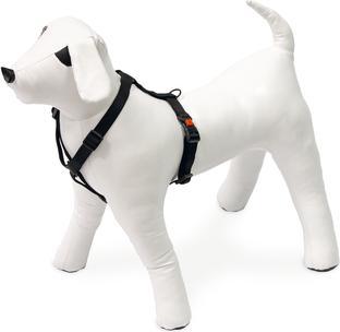 Produktbild Karlie Art Sportiv Plus Geschirr neue universal Farben Mix and Match (M, Hund, Spazieren)