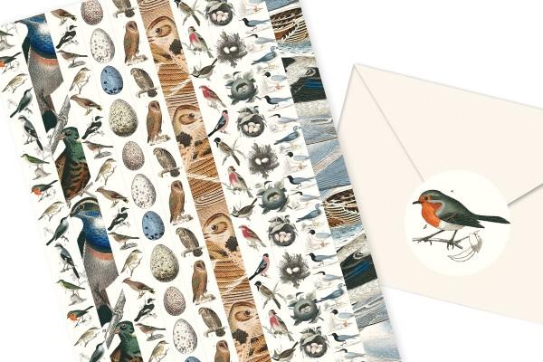 Produktbild Book Fauna