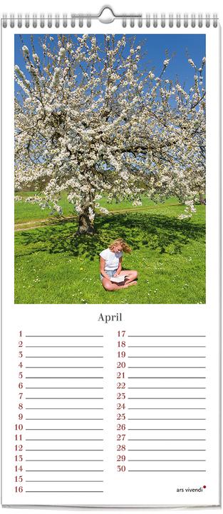 Actual product image Birthday calendar reading, perpetual (new)