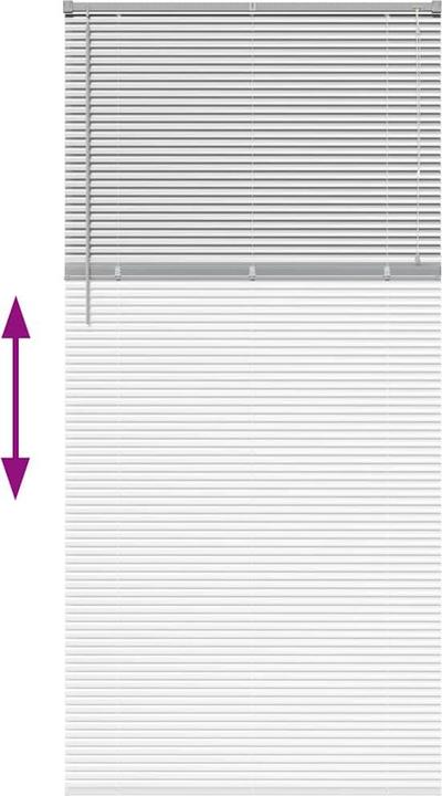 Immagine prodotto VidaXL Tende per finestre (100 x 220 cm)