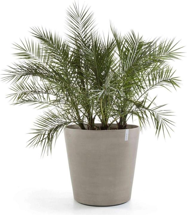 Produktbild Ecopots Amsterdam Wheels (60 x 49 cm)