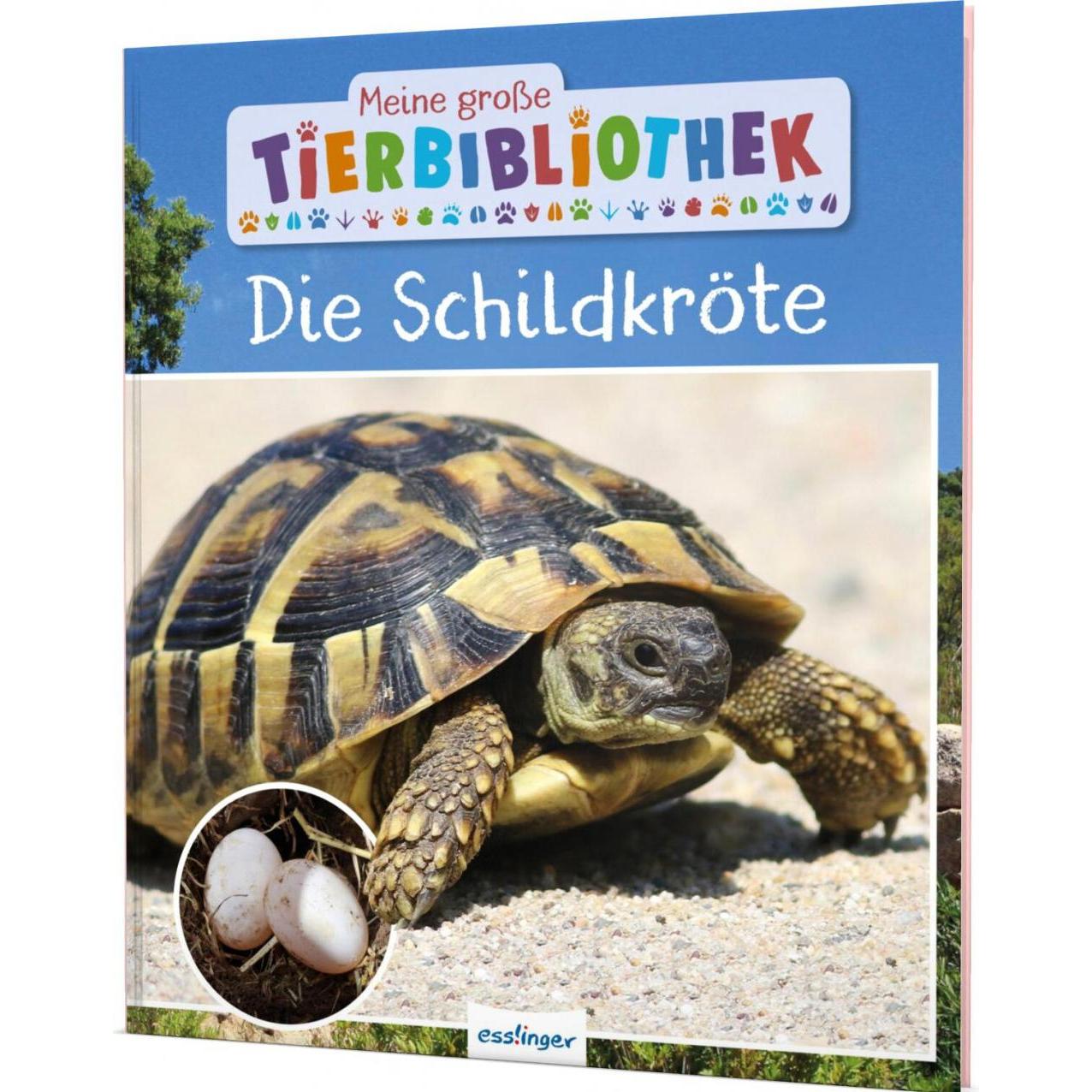 Meine grosse Tierbibliothek: Die Schildkröte, Kinderbücher von Axel Gutjahr