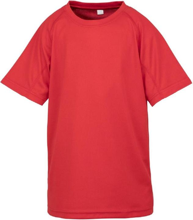 Rot