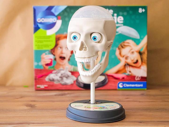 Image du produit Clementoni Anatomie folle D