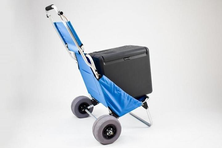 Actual product image 9WS Chariot Sige de plage