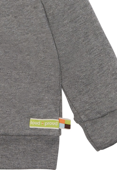 Actual product image loud + proud Hooded jacket (110)