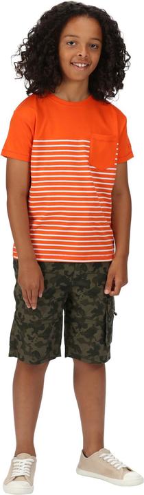 Image du produit Regatta Shorewalk CargoShorts