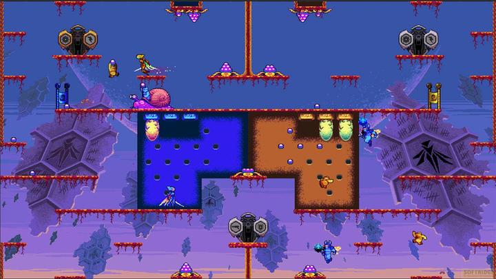 Actual product image Game Killer Queen Black, Switch (Switch, EN)