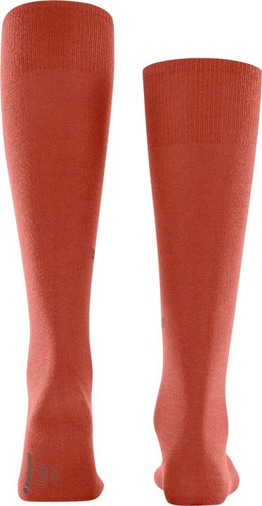 Produktbild Falke Leeds KH (40 - 46)